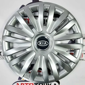 {{photo.Alt || photo.Description || 'Колпаки на диски R15 SKS-Teorin 15313 для Kia Rio X-Line'}}