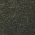 Экокожа Brandy Coventry Black - фото