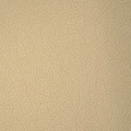 Экокожа Brandy Coventry Beige
